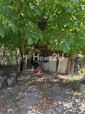 ������� ���� | Imot.bg � ����� ������ 5