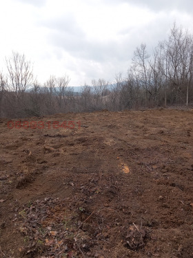 ������� ������ | Imot.bg � ����� ������ 5