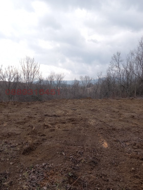 ������� ������ | Imot.bg � ����� ������ 8