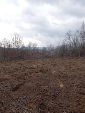 ������� ������ | Imot.bg � ����� ������ 7