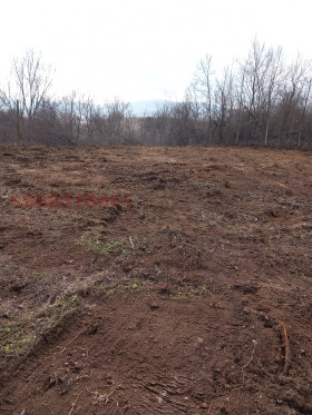 ������� ������ | Imot.bg � ����� ������ 2