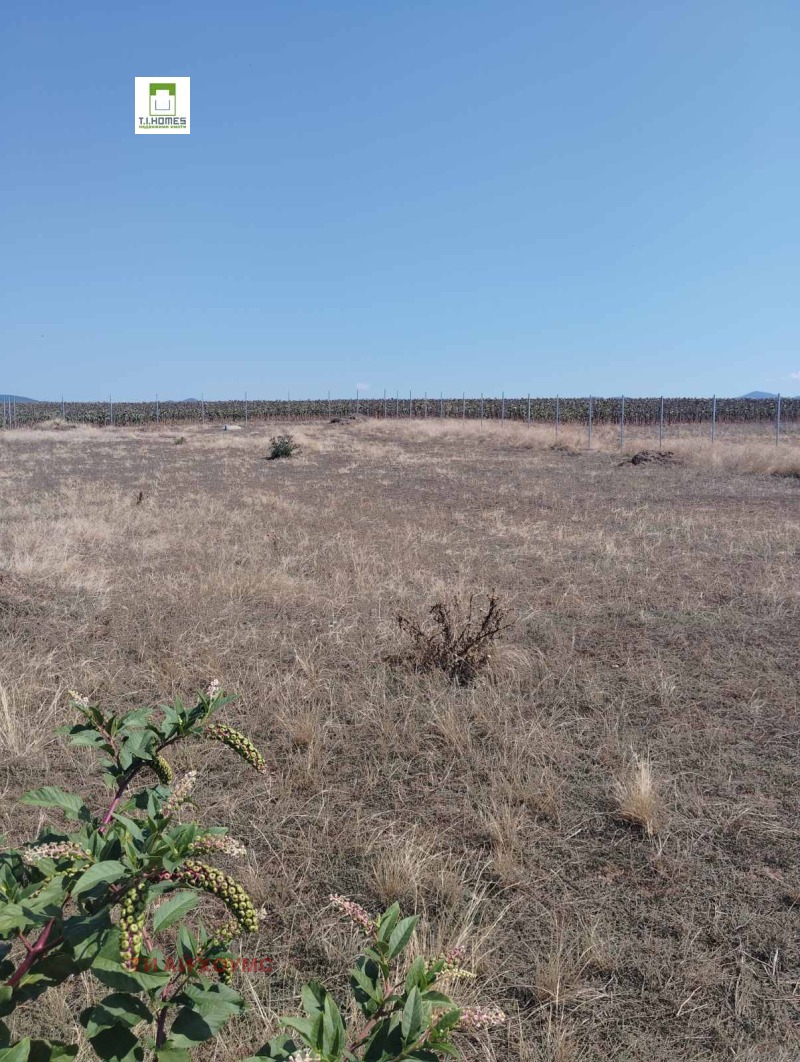 For Sale  Plot Sofia , Chepintsi , 1140 sq.m | 25921800