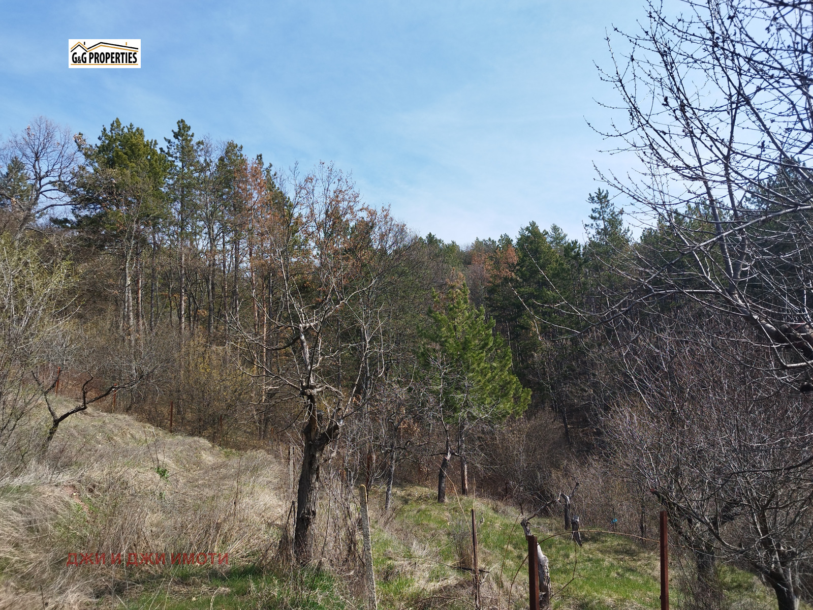 ������� ���� | Imot.bg � ����������� 7