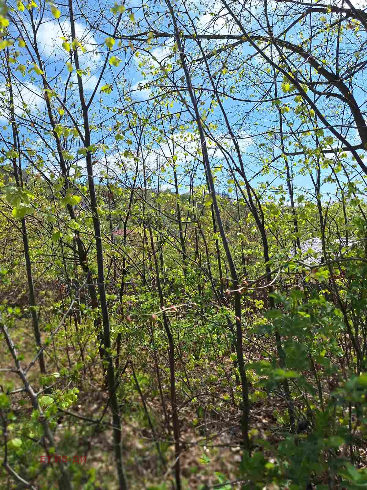 ������� ������ | Imot.bg � ����������� 6