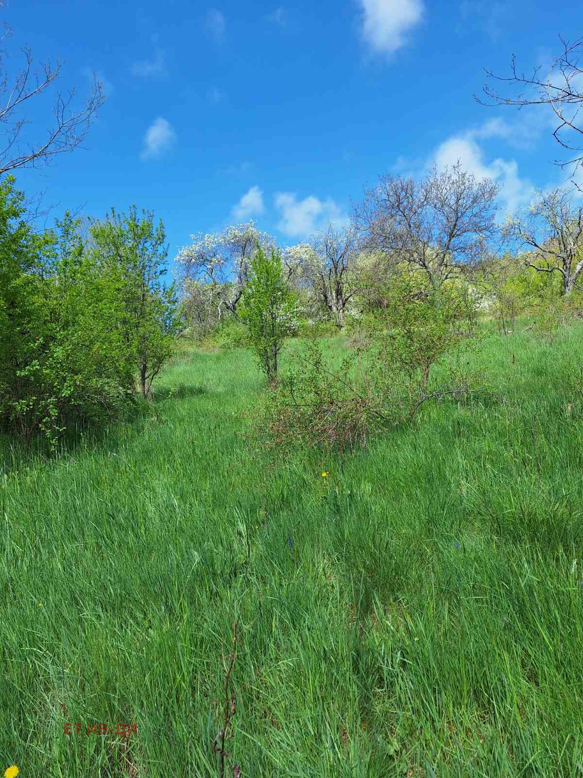 ������� ������ | Imot.bg � ����������� 1