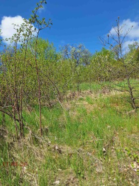 ������� ������ | Imot.bg � ����� ������ 4