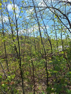 ������� ������ | Imot.bg � ����� ������ 6