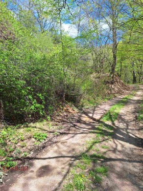 ������� ������ | Imot.bg � ����� ������ 3