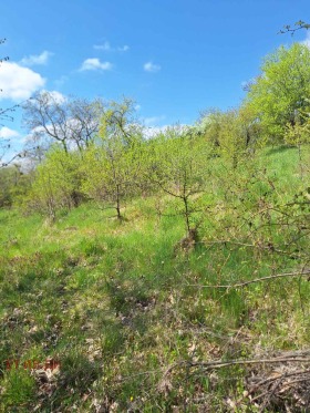 ������� ������ | Imot.bg � ����� ������ 5