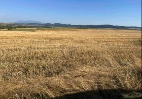 ������� ������ | Imot.bg � ����� ������ 4