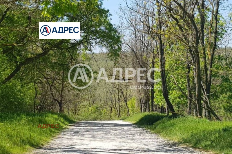 На продаж  Сюжет Варна , Галата , 30734 кв.м | 65584127 - зображення [12]