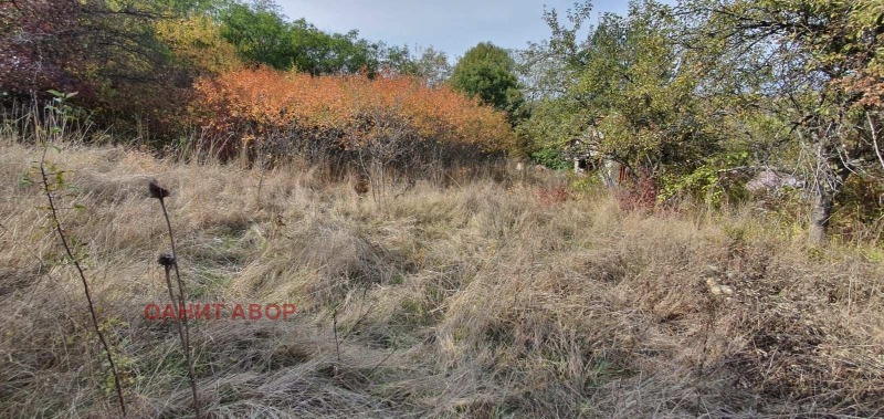 Продава  Парцел, град София, гр. Банкя •  147 000 EUR • ID 48272671 — holmes.bg - [1] 