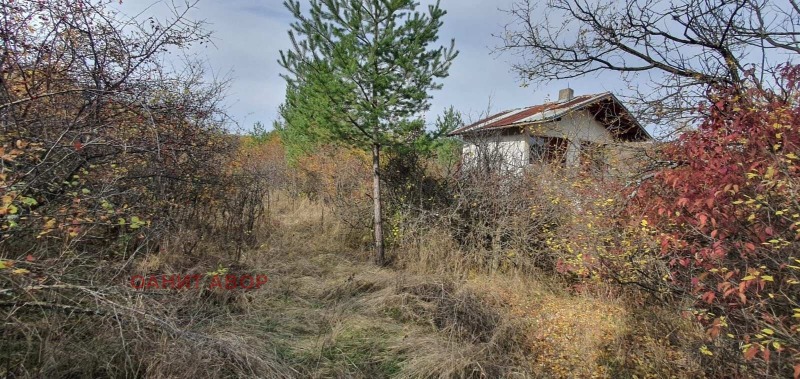 Myytävänä  Juoni Sofia , Bankja , 2467 neliömetriä | 24570983 - kuva [2]