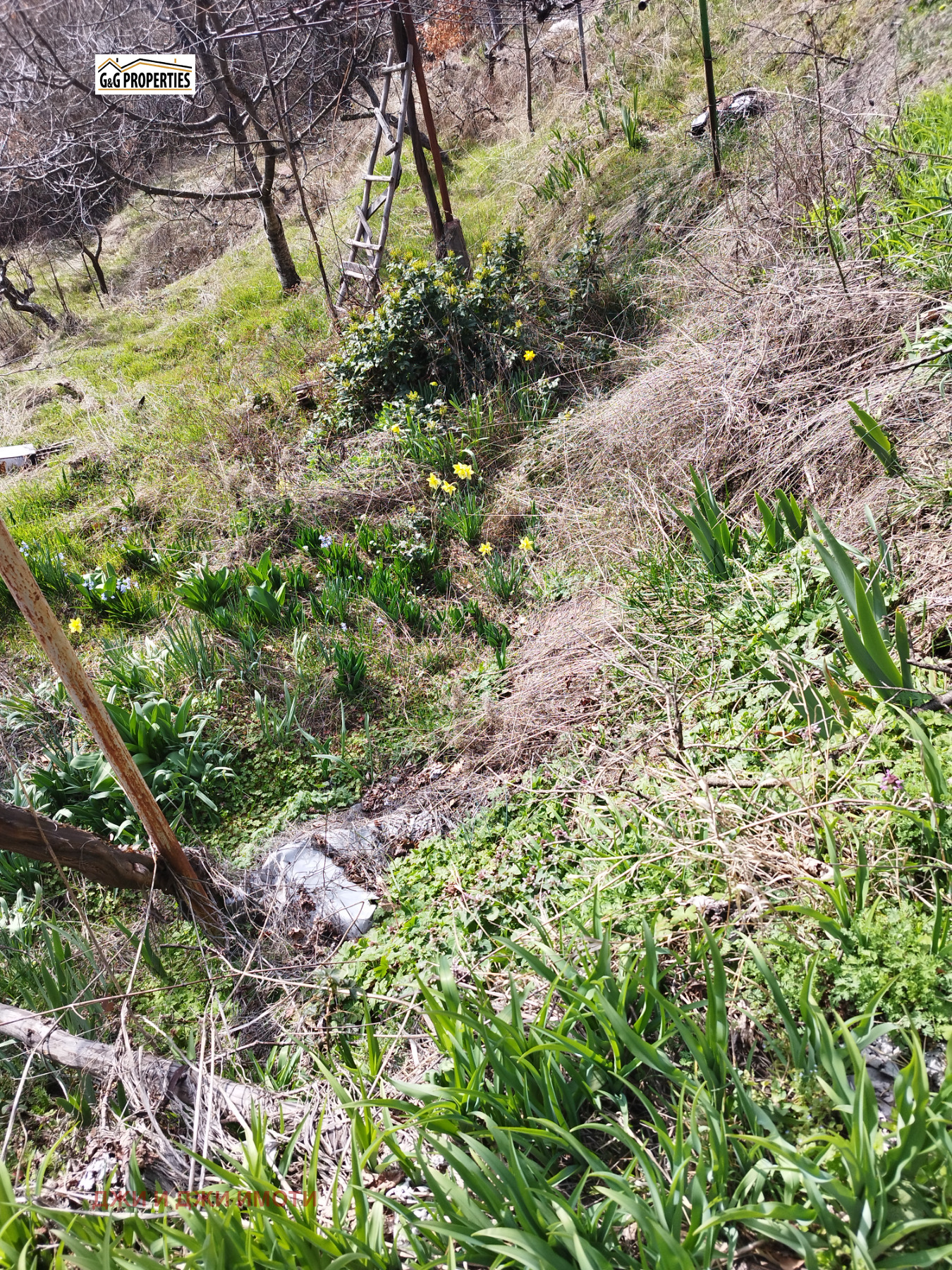 Продава КЪЩА, гр. София, гр. Нови Искър, снимка 8 - Къщи - 54008329