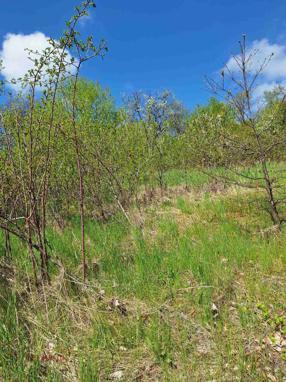 Продава ПАРЦЕЛ, с. Очуша, област София област, снимка 4 - Парцели - 54346288