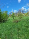 Продава ПАРЦЕЛ, с. Очуша, област София област, снимка 1
