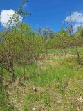 Продава ПАРЦЕЛ, област София, с. Очуша • 30000 € / 58674.90 лв. • 60660007 4