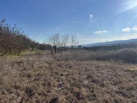 ����� ������� ���������� ����,��. ���������, ������ �����������