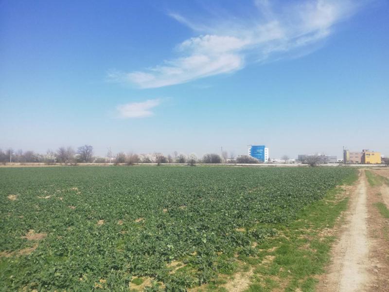 For Sale  Plot Plovdiv , Industrialna zona - Sever , 15000 sq.m | 91731215 - image [5]