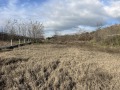 Продава ЗЕМЕДЕЛСКА ЗЕМЯ, гр. Сандански, област Благоевград, снимка 3