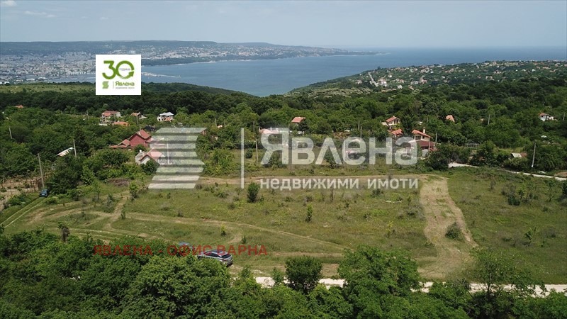 Продаја  Плот Варна , м-т Боровец - север , 4578 м2 | 47447499 - слика [2]