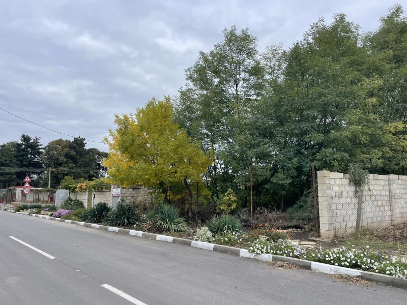 Προς πώληση  Οικόπεδο περιοχή Dobrich , Πολκοβνηκ Σβετσταροβο , 800 τ.μ | 82873917 - εικόνα [5]