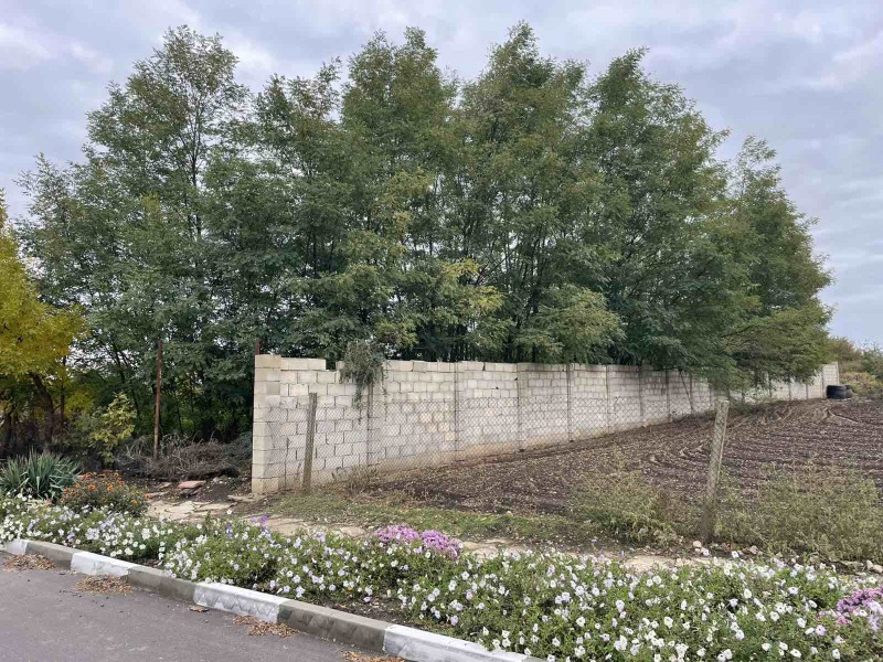 Προς πώληση  Οικόπεδο περιοχή Dobrich , Πολκοβνηκ Σβετσταροβο , 800 τ.μ | 82873917 - εικόνα [2]