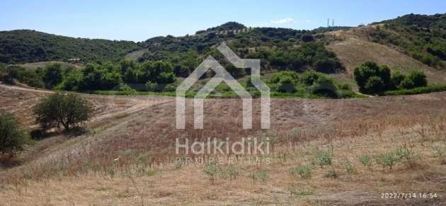 Продава ПАРЦЕЛ | Imot.bg — изображение 10