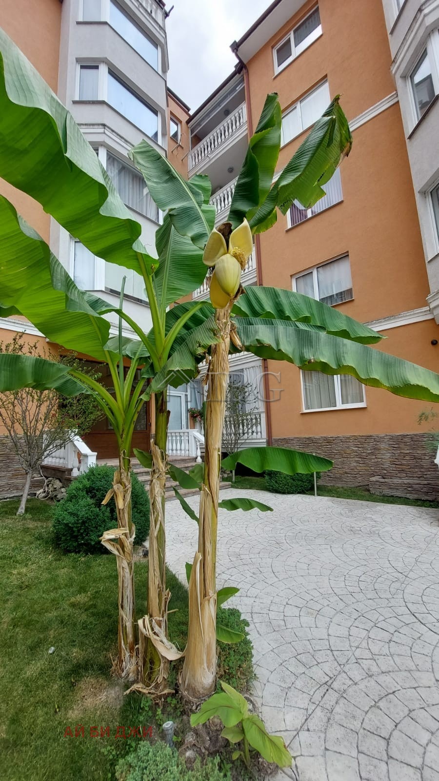 ������� 2-����� | Imot.bg � ����������� 17