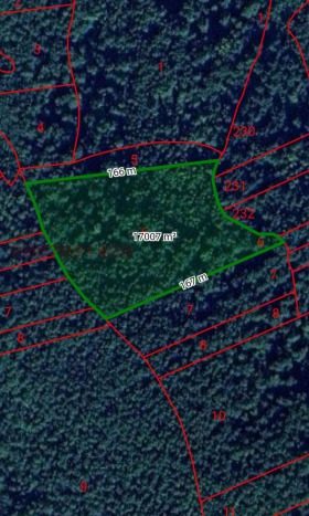 ����� ������� ���������� ����,�. ����� ���� �����, ������ �������