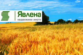 ������ ������� ���������� ����