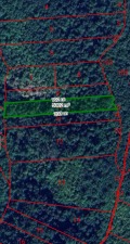 Продава  Земеделска земя област Монтана , с. Долна Бела речка , 55 дка | 61409571 - изображение [4]