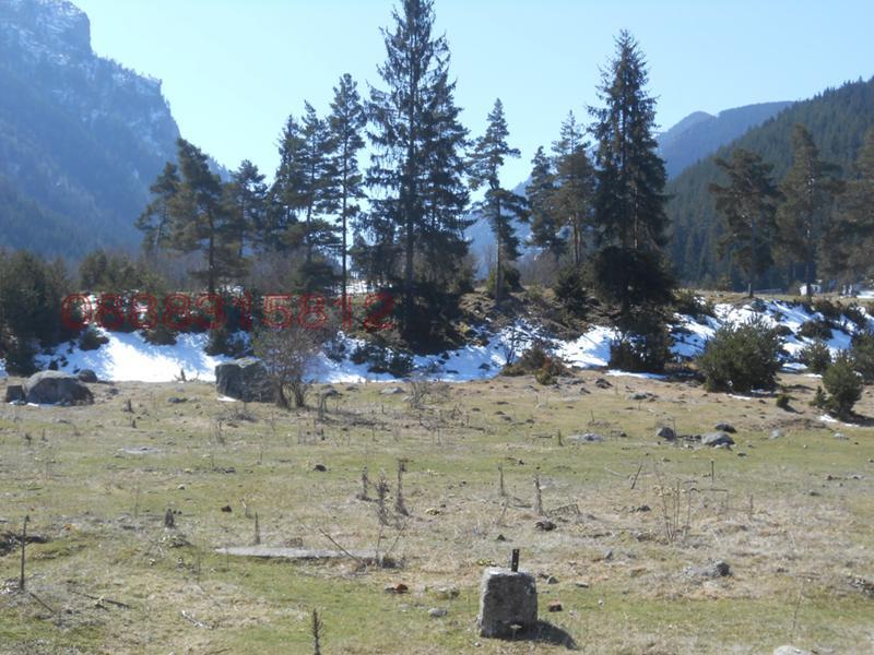 ������� ������ | Imot.bg � ����������� 1