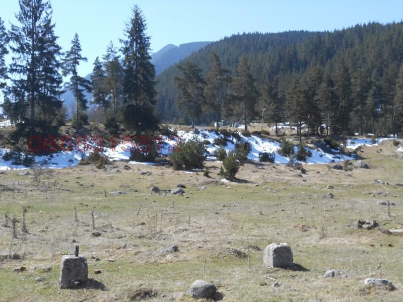 Продава ПАРЦЕЛ, с. Бели Искър, област София област, снимка 2 - Парцели - 52780545