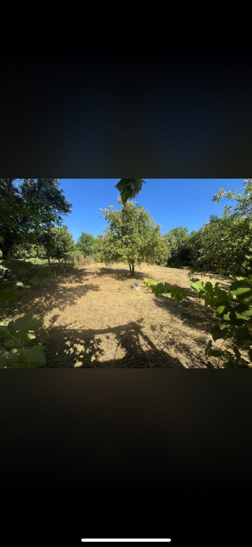 Продава КЪЩА, с. Стубел, област Монтана, снимка 13 - Къщи - 54124134