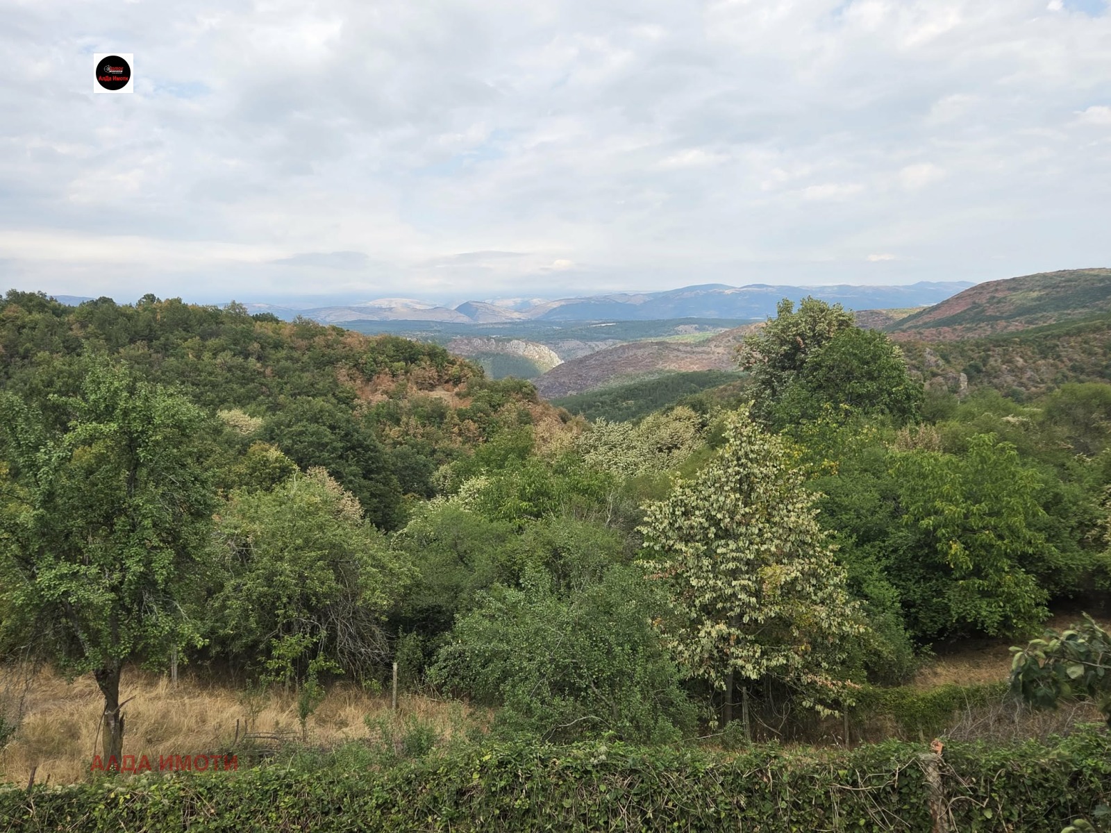 ������� ���� | Imot.bg � ����������� 7