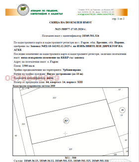 ������ ������� ������