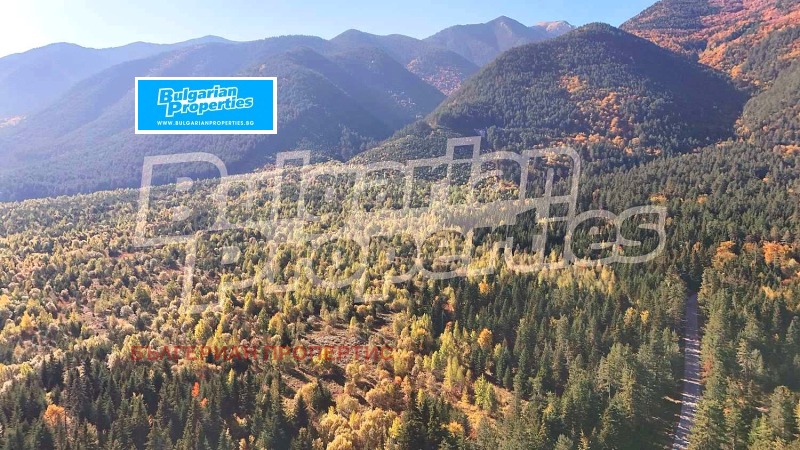 Til salg  Grund region Blagoevgrad , Bansko , 14000 kvm | 82336325 - billede [14]