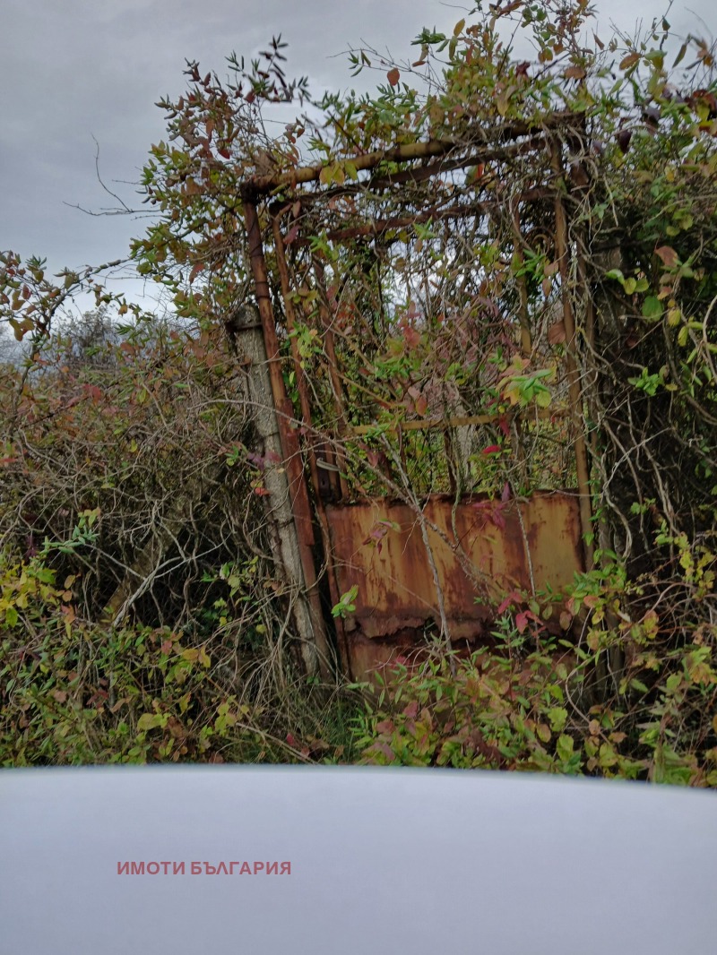 Продава ПАРЦЕЛ, с. Осеново, област Варна, снимка 2 - Парцели - 52333053