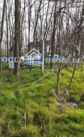 Продава ЗЕМЕДЕЛСКА ЗЕМЯ, с. Царацово, област Пловдив, снимка 2 - Земеделска земя - 55121899