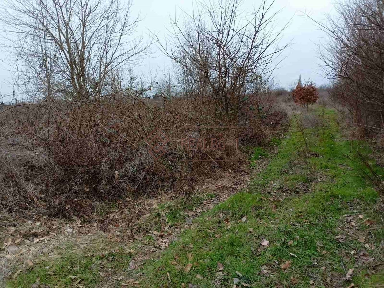 Продава ПАРЦЕЛ, с. Равна гора, област Варна, снимка 2 - Парцели - 39863005