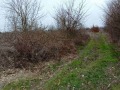 Продава ПАРЦЕЛ, с. Равна гора, област Варна, снимка 2
