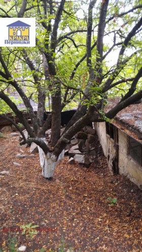 Verhaallijn Klepalo, Pernik