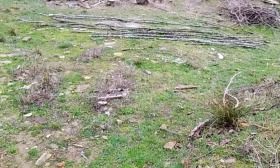 ������� ������ | Imot.bg � ����� ������ 7