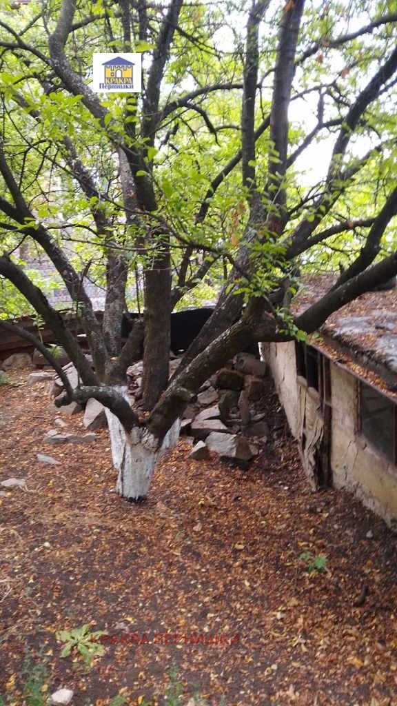 In vendita  Complotto Pernik , Klepalo , 290 mq | 48455957