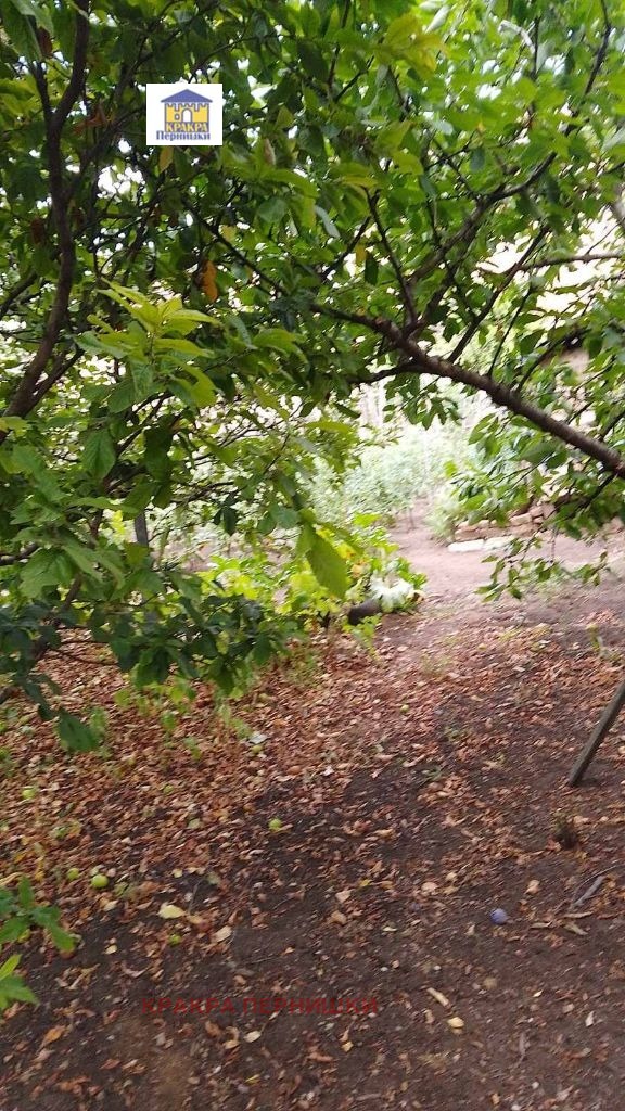 In vendita  Complotto Pernik , Klepalo , 290 mq | 48455957 - Immagine [6]