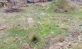Продава ПАРЦЕЛ, гр. Трявна, област Габрово, снимка 10