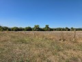 Продава ЗЕМЕДЕЛСКА ЗЕМЯ, с. Яхиново, област Кюстендил, снимка 3