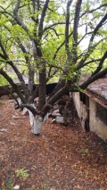 Продава ПАРЦЕЛ, град Перник, Клепало • 42000 € • 99654614 — Holmes.bg