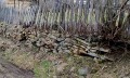 Продава  Парцел област Габрово , гр. Трявна , 1200 кв.м | 94319157 - изображение [4]